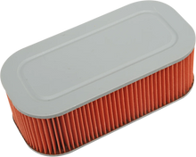 Load image into Gallery viewer, Hiflofiltro Replacement Air Filter - HFA3619 fits Suzuki - Side View