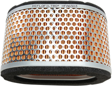 Load image into Gallery viewer, Hiflofiltro Replacement Air Filter - HFA6503 fits Triumph - Side View