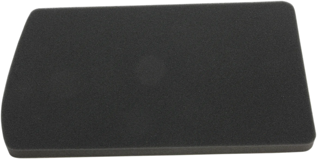 Hiflofiltro Replacement Air Filter - HFA7603 fits BMW - Main Product View