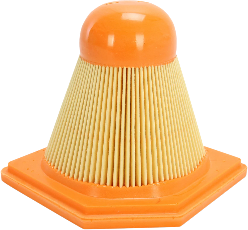 Hiflofiltro Replacement Air Filter - HFA7917 fits BMW - Main Product View