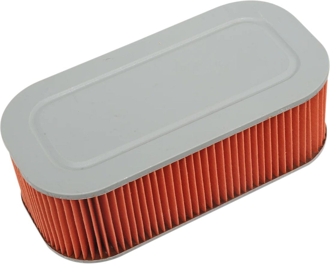 Hiflofiltro Replacement Air Filter - HFA7917 fits BMW - Detail View