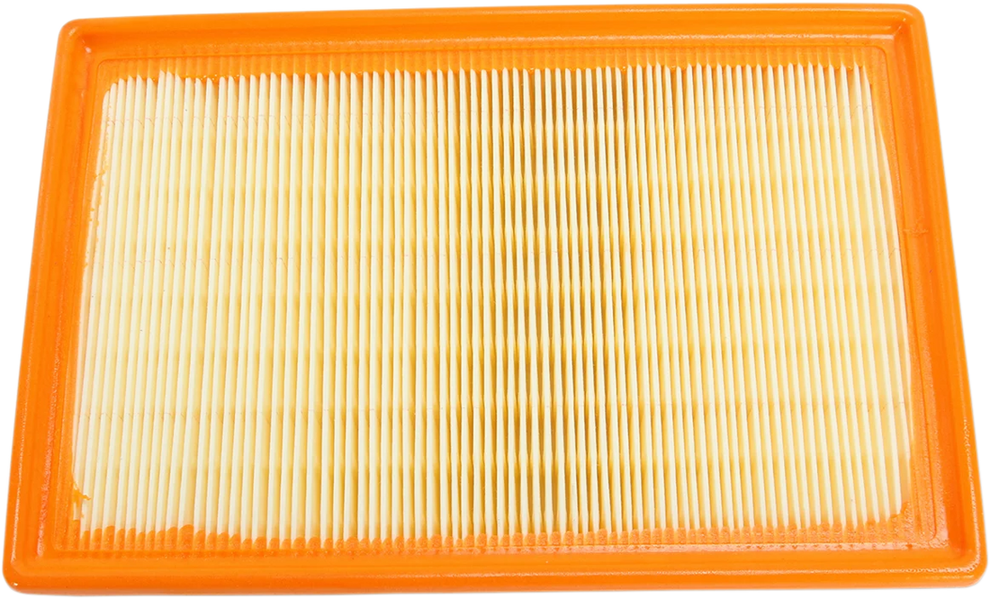 Hiflofiltro Replacement Air Filter - HFA7918 fits BMW - Side View