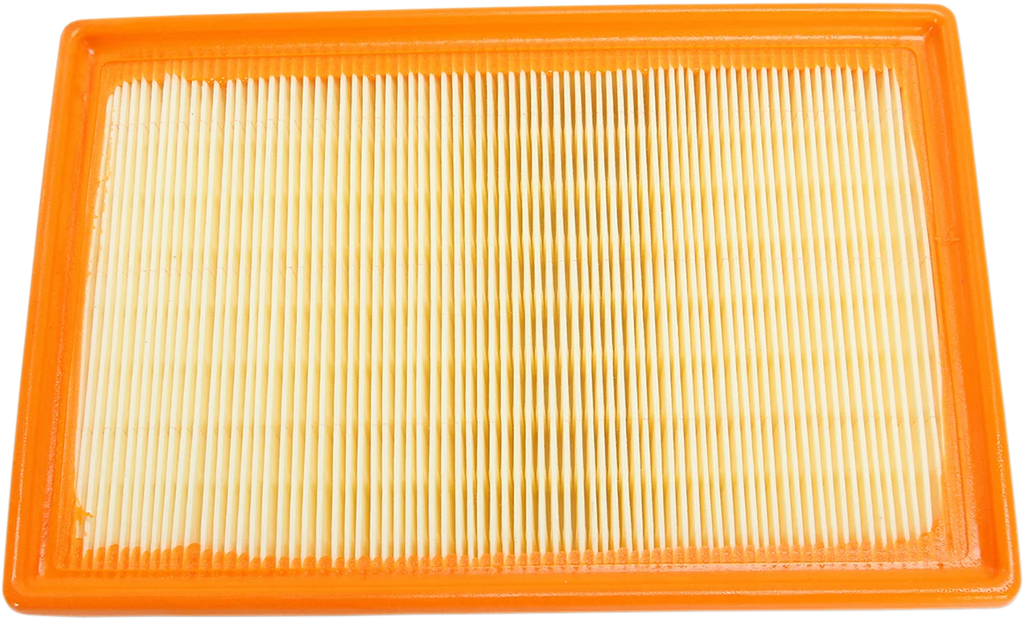 Hiflofiltro Replacement Air Filter - HFA7918 fits BMW - Side View