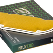 Load image into Gallery viewer, Hiflofiltro Replacement OE Air Filter - HFA2905 fits Kawasaki - Main Product View