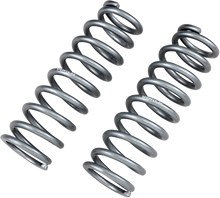 Load image into Gallery viewer, High Lifter Products Front Shock Springs - Silver 79-13807 - Main Product View