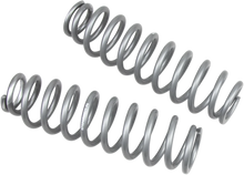 Load image into Gallery viewer, High Lifter Products Rear Shock Springs - Silver 79-13838 - Main Product View