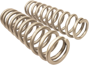 High Lifter Products Rear Shock Springs - Silver 79-13843 - Main Product View