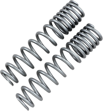 Load image into Gallery viewer, High Lifter Products Rear Shock Springs - Silver 79-13869 - Main Product View