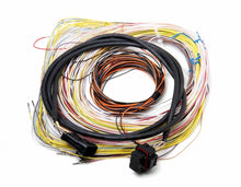 Load image into Gallery viewer, Holley Auxiliary Harness J2A Connector 558-401
