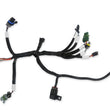Load image into Gallery viewer, Holley Bench-Top EFI Test Harness 558-127