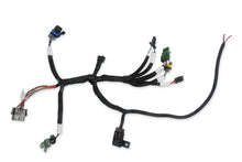 Load image into Gallery viewer, Holley Bench-Top EFI Test Harness 558-127