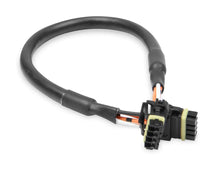 Load image into Gallery viewer, Holley CAN Extension Harness 9in Length 558-428