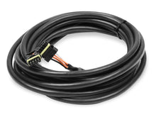 Load image into Gallery viewer, Holley Can Extension Harness 12ft 558-426