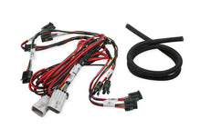 Load image into Gallery viewer, Holley Coil-Near-Plug Sub Harness - Big Wire 558-318