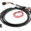 Load image into Gallery viewer, Holley DBW Throttle Harness Ford 5.0L Coyote 11-17 558-422
