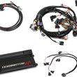 Load image into Gallery viewer, Holley Dominator EFI Kit - GM LS 550-650