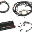 Load image into Gallery viewer, Holley Dominator EFI Kit - Universal 550-652