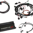 Load image into Gallery viewer, Holley Dominator EFI Kit w/COP Universal 550-654 - Main Product View