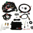 Load image into Gallery viewer, Holley ECU &amp; Harness Kit - GM TPI/Holley Stealth Ram 550-601
