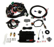 Load image into Gallery viewer, Holley ECU &amp; Harness Kit - GM TPI/Holley Stealth Ram 550-601