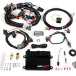 Load image into Gallery viewer, Holley ECU &amp; Harness MPFI Kit 550-604