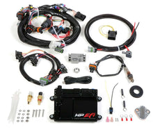 Load image into Gallery viewer, Holley ECU &amp; Harness MPFI Kit 550-604