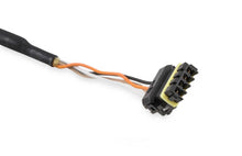Load image into Gallery viewer, Holley EFI 4' Male to Female CAN Adapter Harness 558-452 - Back View