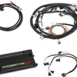 Load image into Gallery viewer, Holley EFI 58x Crank, 4x Cam - Style Engines with EV1 Injectors 550-651 fits GM LS / 4.8 / 5.3 / 6.0 - Main Product View