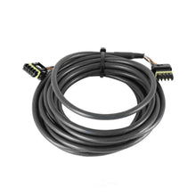 Load image into Gallery viewer, Holley EFI CAN Extension Harness - 8' 558-425 - Side View