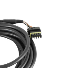 Load image into Gallery viewer, Holley EFI CAN Extension Harness - 8' 558-425 - Detail View