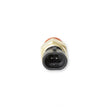 Load image into Gallery viewer, Holley EFI Coolant Passages with 3/8" NPT Threads 534-10 - Additional View 6