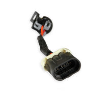 Load image into Gallery viewer, Holley EFI Delphi M/P 150 to GT MAP Adapter Harness 558-467 - Back View