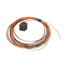 Load image into Gallery viewer, Holley EFI Dominator EFI Connector J4 Auxiliary Harness 558-404 - Side View