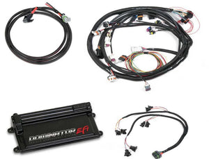 Holley EFI Dominator EFI Kit - Main Harness with EV1 Injector Harness 550-653 fits Ford - Main Product View