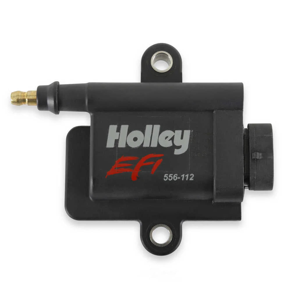 Holley EFI Dominator, HP ECU's, and other EFI Systems 556-112 - Main Product View