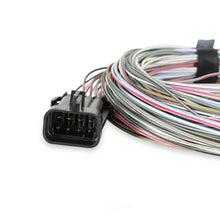 Load image into Gallery viewer, Holley EFI Dominator, HP, Terminator X and Terminator X Max 558-400 - Back View