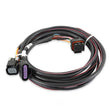 Load image into Gallery viewer, Holley EFI Drive-By-Wire Harness 558-406 fits GM - Main Product View