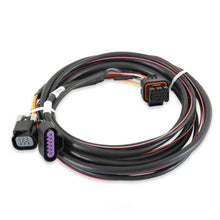 Load image into Gallery viewer, Holley EFI Drive-By-Wire Harness 558-406 fits GM - Main Product View