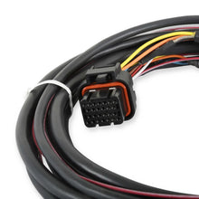 Load image into Gallery viewer, Holley EFI Drive-By-Wire Harness 558-406 fits GM - Detail View