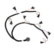 Load image into Gallery viewer, Holley EFI Evenly Spaced Injector Harness for Jetronic "Bosch EV1" Style Injectors 558-213 fits Ford V8 - Main Product View
