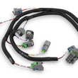 Load image into Gallery viewer, Holley EFI Evenly Spaced Injector Harness for USCAR / EV6 Style Injectors 558-212 fits Ford V8 - Main Product View