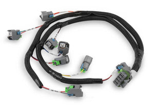 Holley EFI Evenly Spaced Injector Harness for USCAR / EV6 Style Injectors 558-212 fits Ford V8 - Main Product View