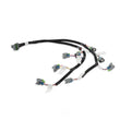 Load image into Gallery viewer, Holley EFI Evenly Spaced Injector Harness for USCAR / EV6 Style Injectors 558-212 fits Ford V8 - Back View