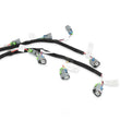 Load image into Gallery viewer, Holley EFI Evenly Spaced Injector Harness for USCAR / EV6 Style Injectors 558-212 fits Ford V8 - Installation View