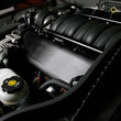 Load image into Gallery viewer, Holley EFI Factory Intakes 534-210 fits LS1 / LS2 / LS3 / LS6 / L99 - Detail View