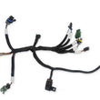 Load image into Gallery viewer, Holley EFI Firmware Updating - Dash Configuration - ECU Testing 558-127 - Main Product View
