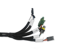 Load image into Gallery viewer, Holley EFI Firmware Updating - Dash Configuration - ECU Testing 558-127 - Installation View