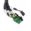 Load image into Gallery viewer, Holley EFI Firmware Updating - Dash Configuration - ECU Testing 558-127 - Additional View 8