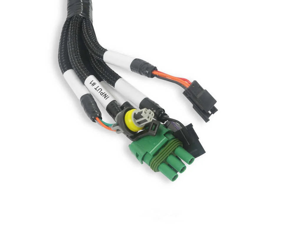 Holley EFI Firmware Updating - Dash Configuration - ECU Testing 558-127 - Additional View 8