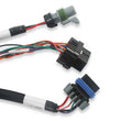 Load image into Gallery viewer, Holley EFI Firmware Updating - Dash Configuration - ECU Testing 558-127 - Additional View 9